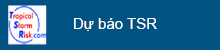 Dự báo TSR