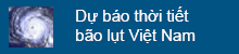 Dự báo thời tiết bão lụt VN